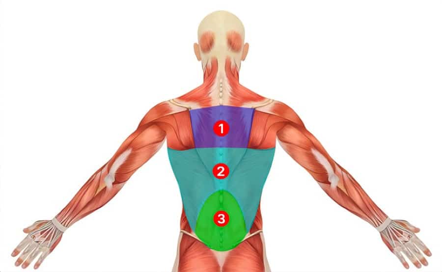 guide-rameur-010_web